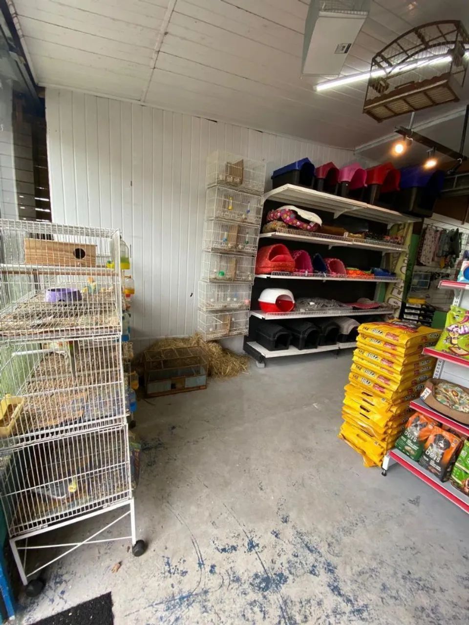 Vendo petshop  - Foto 3