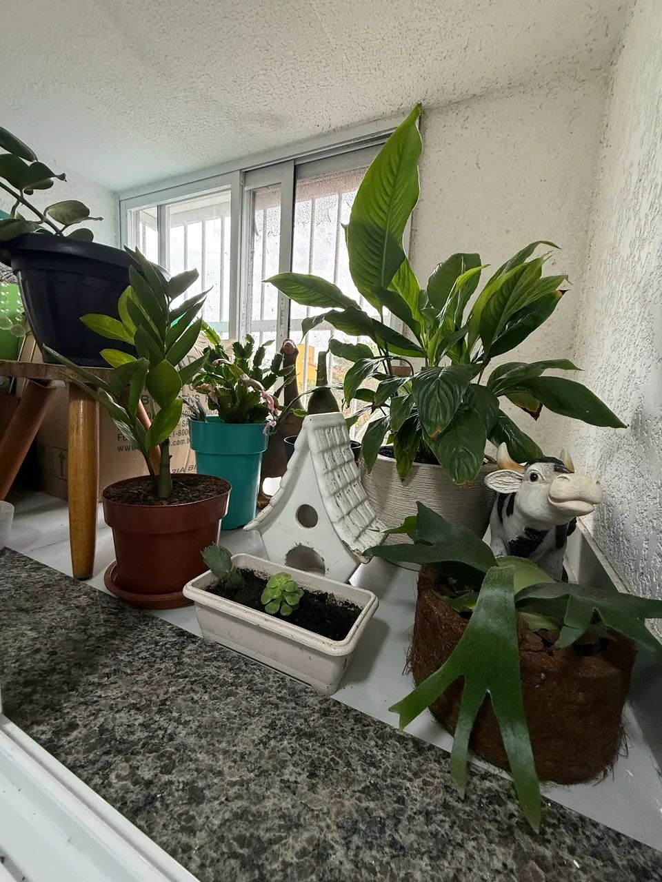 Vende-Se lindo apartamento no centrinho do campeche  - Foto 4