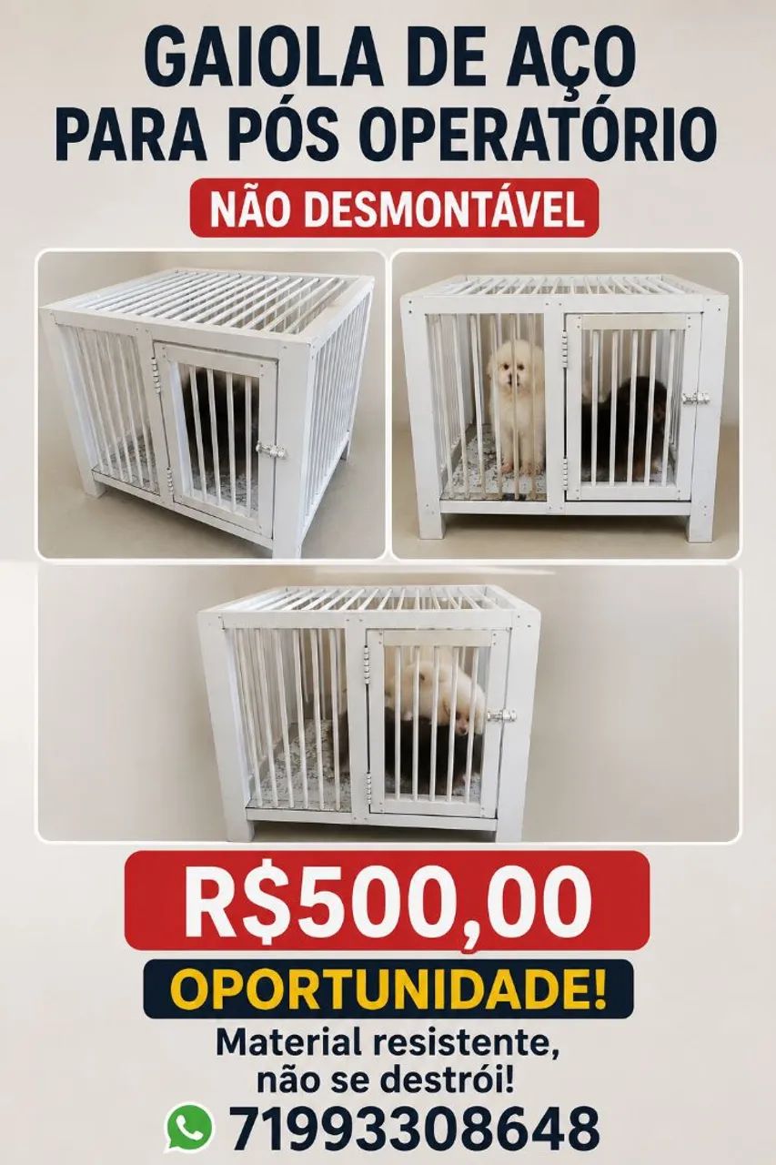 Gaiola para pós operatório 