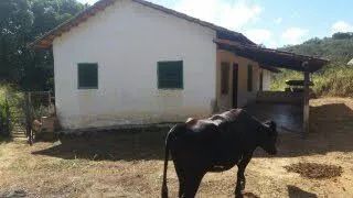 Sítio conceição do Pará mg - Foto 4