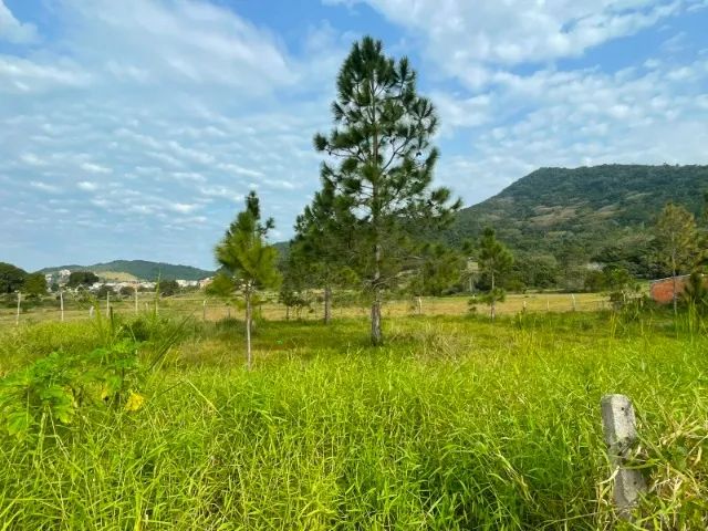 Terreno parcelado 60x nos Ingleses - Foto 4