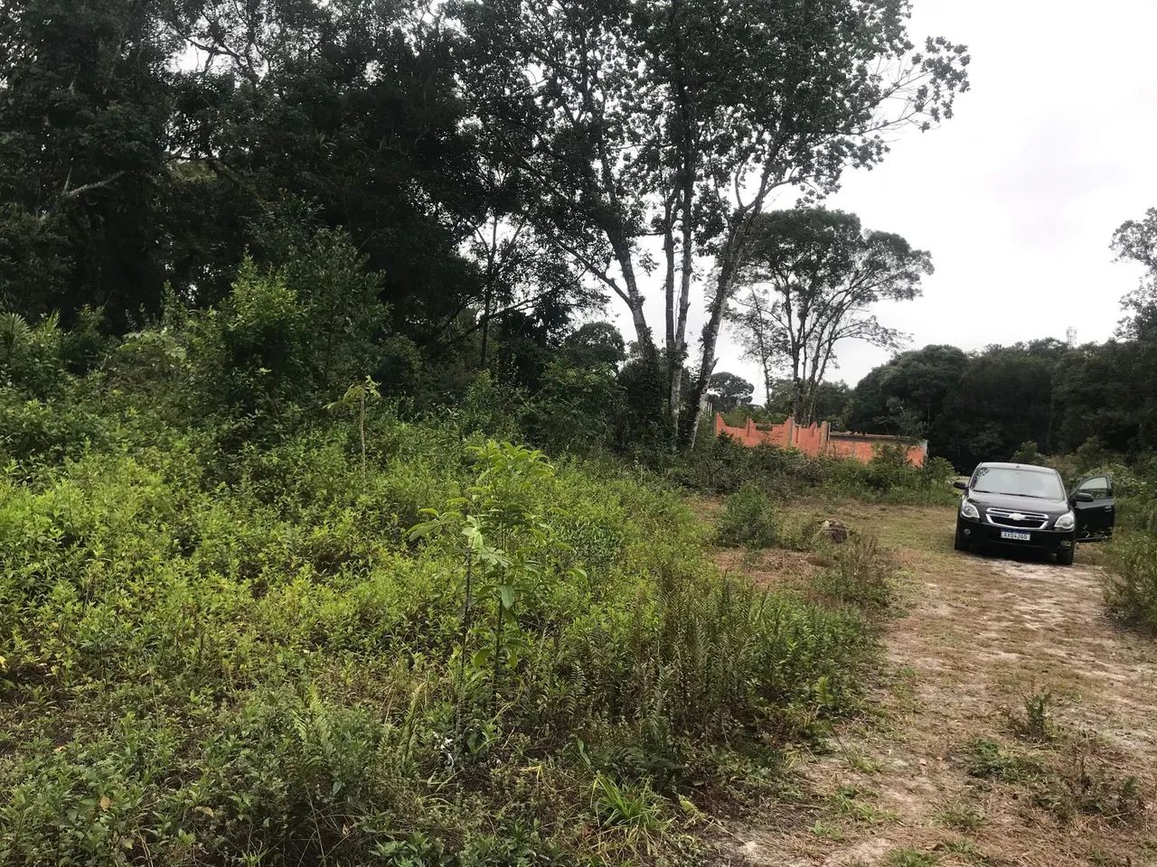 Terrenos Em Ipanema  - Foto 3