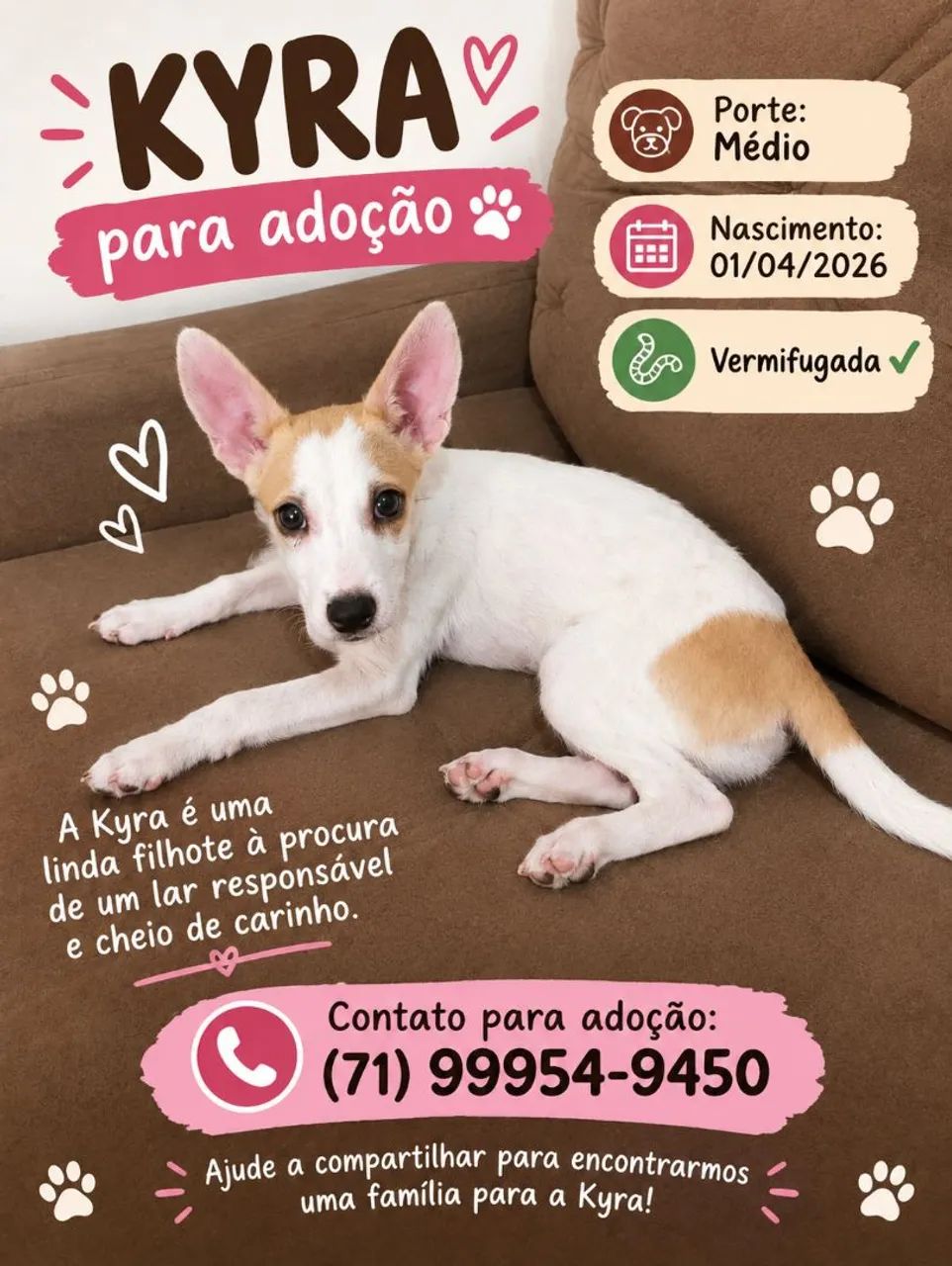Adoção responsável! 