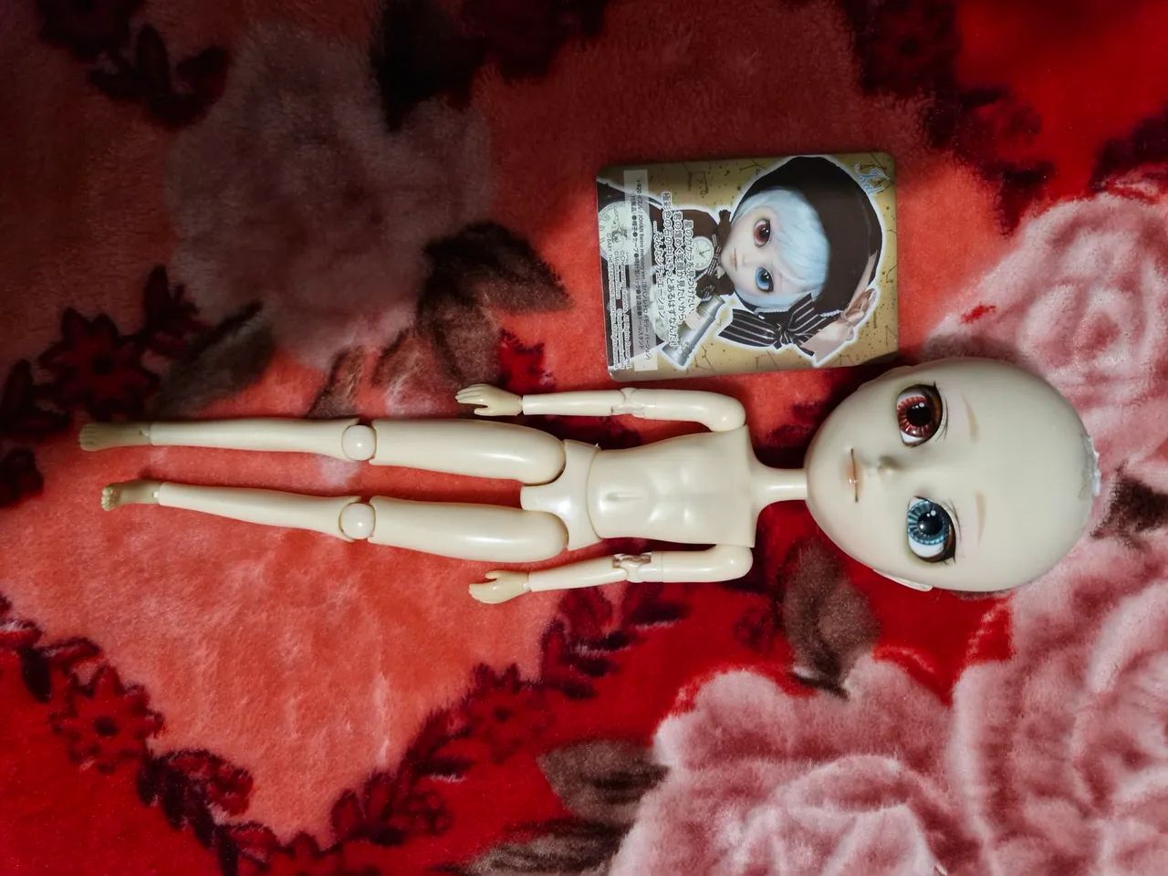 Pullip lote isul e dal - Foto 5