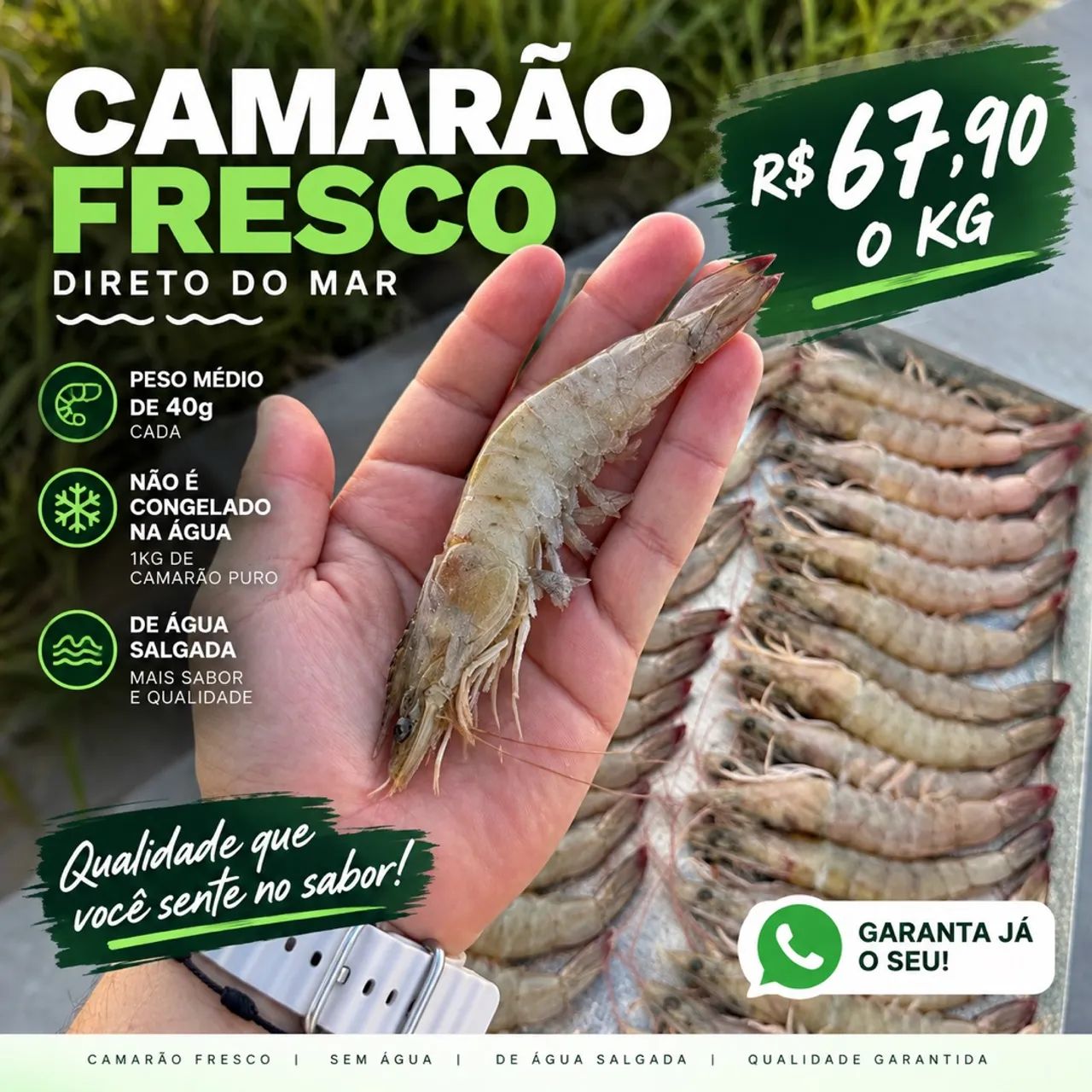 CAMARÃO DE ÁGUA SALGADA - R$67,90