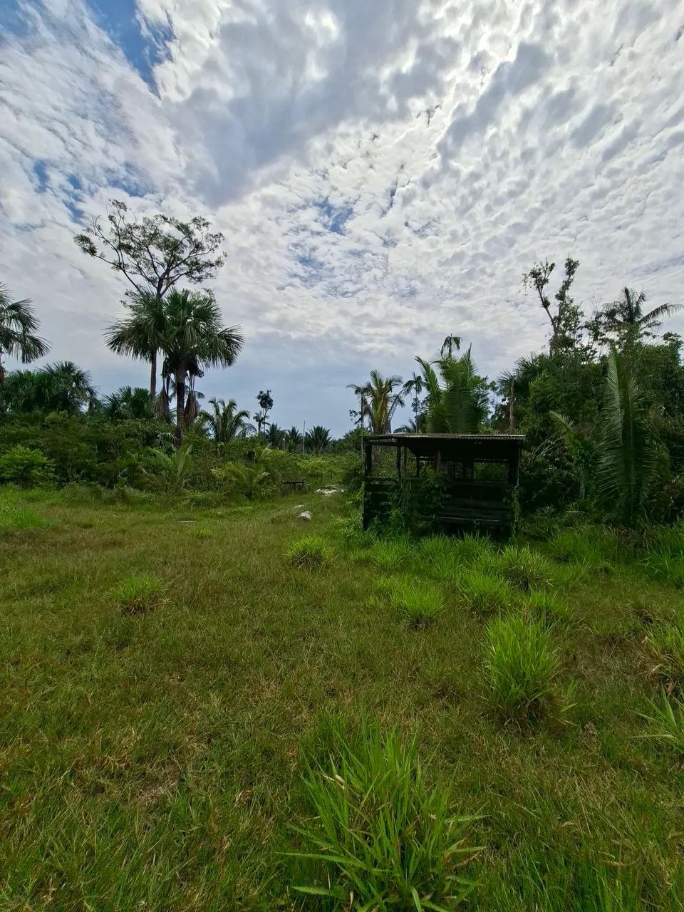 VENDE-SE SÍTIO <br> - Foto 5
