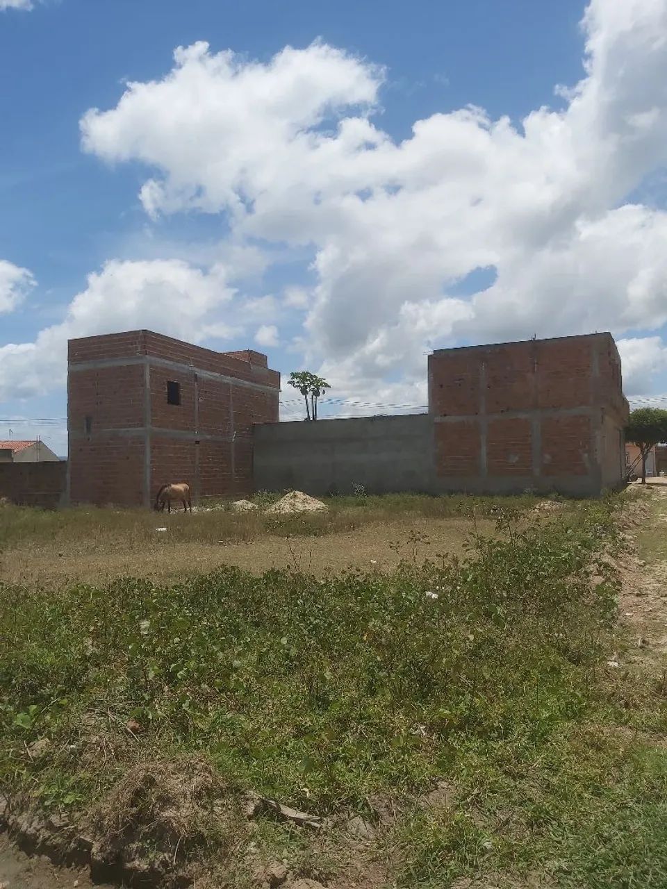 Terreno venda ou troca - Foto 3