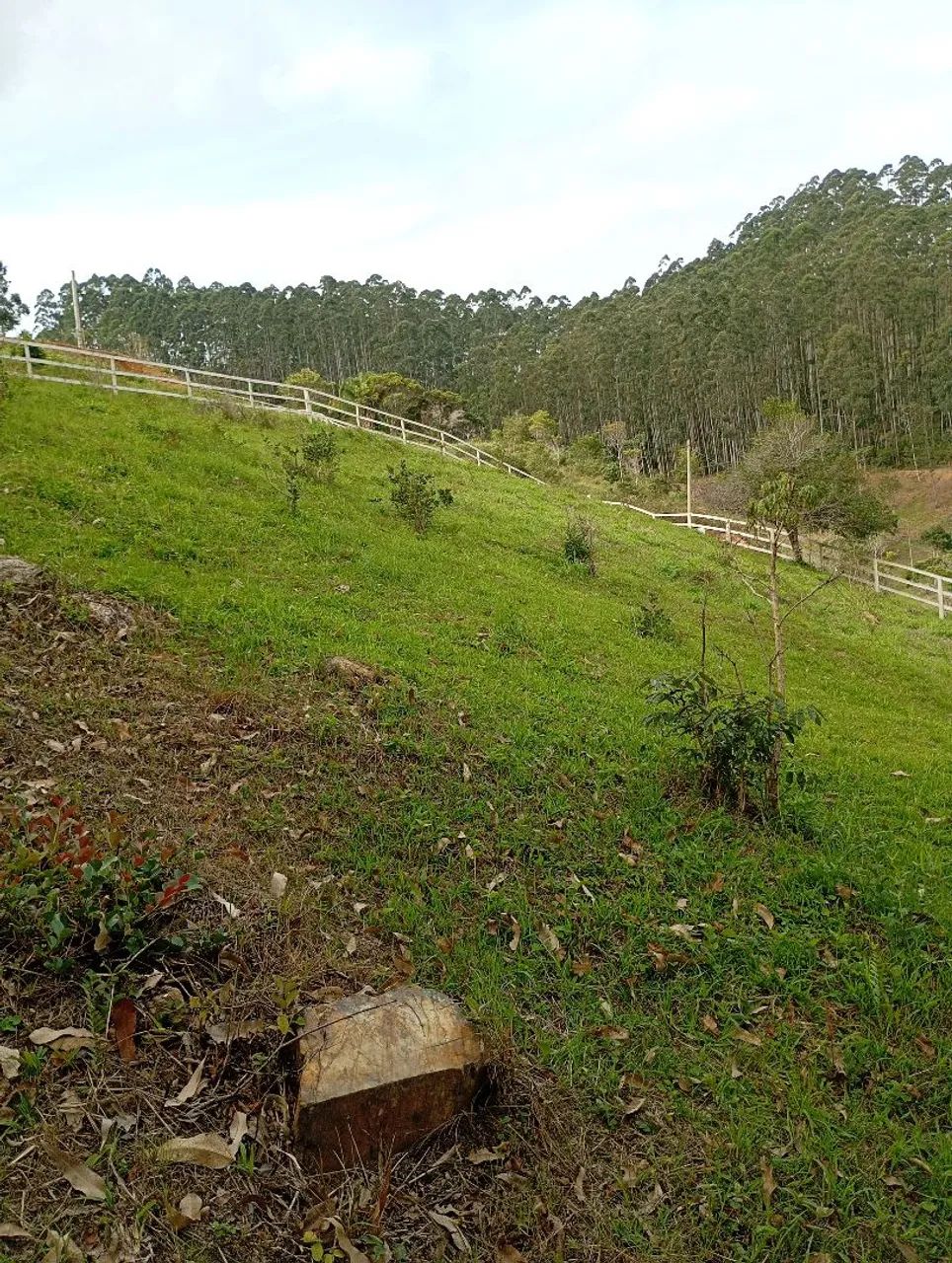 Terreno chácara  - Foto 2
