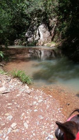 Fazenda 88,16 Alq - Venda ou Troca - UNAI - MG - Foto 10