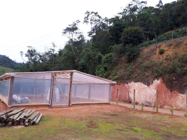 Fazenda com 15 Hectares (150 mil metros) em João Neiva - Foto 4