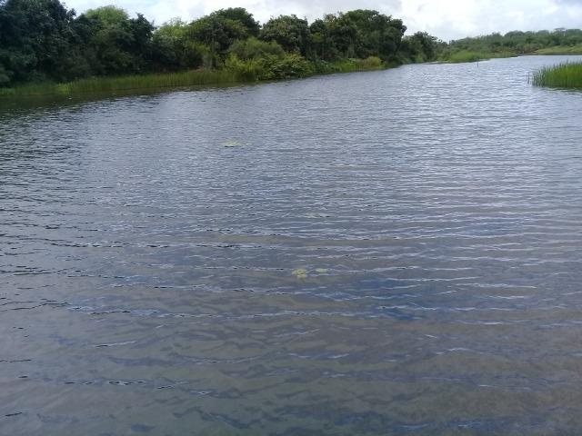Excelente propriedade de 340 tarefas de terras margeando o rio Sacraiú - Foto 4