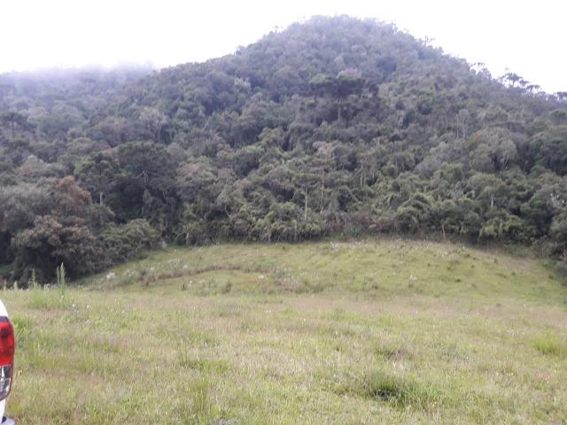 Sitio em Urubici/chácara rural em Urubici/área rural - Foto 6