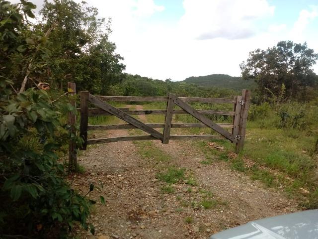 Fazenda 22 alqueires - Foto 14