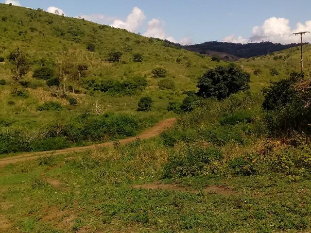 Fazenda Ipiaú vale do Gongoji de 1.150ha com estrutura e sede. Oportunidade - Foto 9