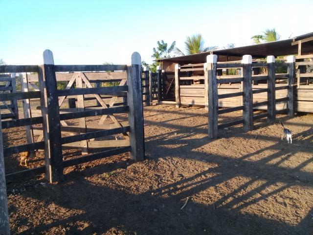 Lindíssima Fazendinha na região rural de Antonio Cardoso Bahia - Foto 11