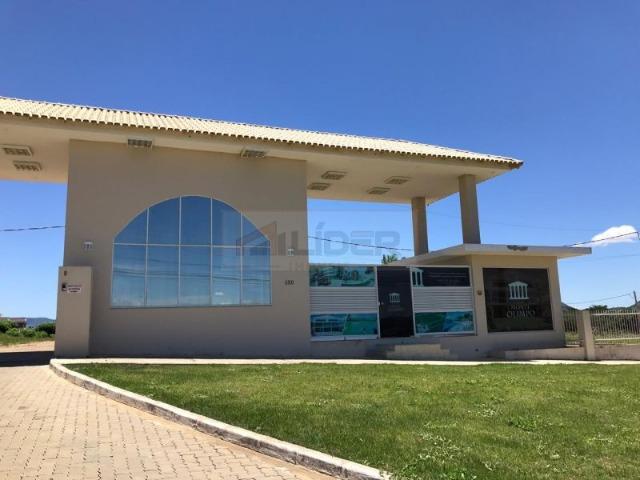 Lote no Alto Santa Mônica - Monte Olimpo - Colatina -ES - Foto 11