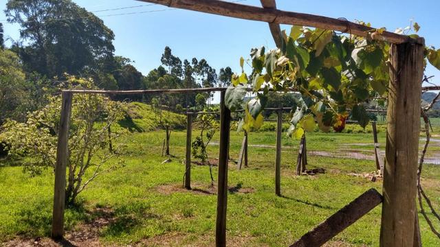 Sítio 4 Hectares - Casa de 3 Quartos - 5 Açudes - Galpão - São Sebastião - Treze de Maio - Foto 12