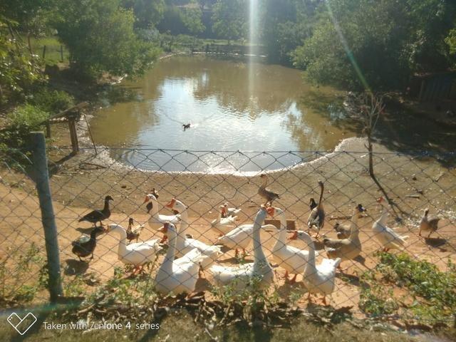 Terreno em condomínio fechado Vale luar - Foto 7