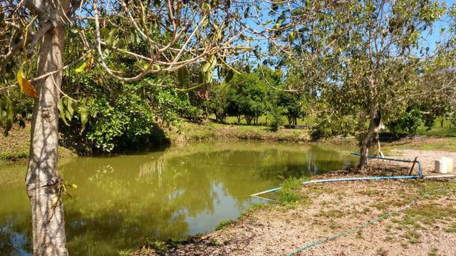 Sítio 4 Hectares - Casa de 3 Quartos - 5 Açudes - Galpão - São Sebastião - Treze de Maio - Foto 17