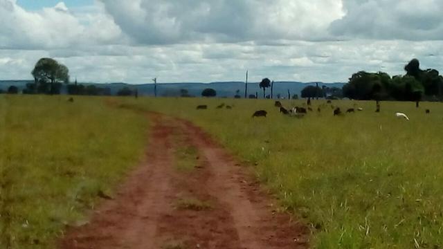 Fazenda em rio branco mt