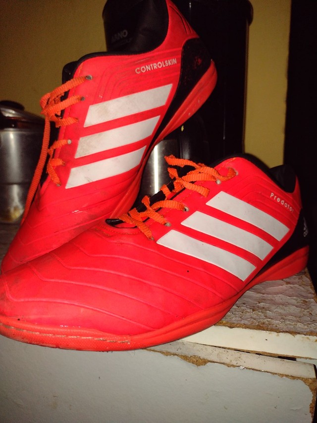 predator primeira linha