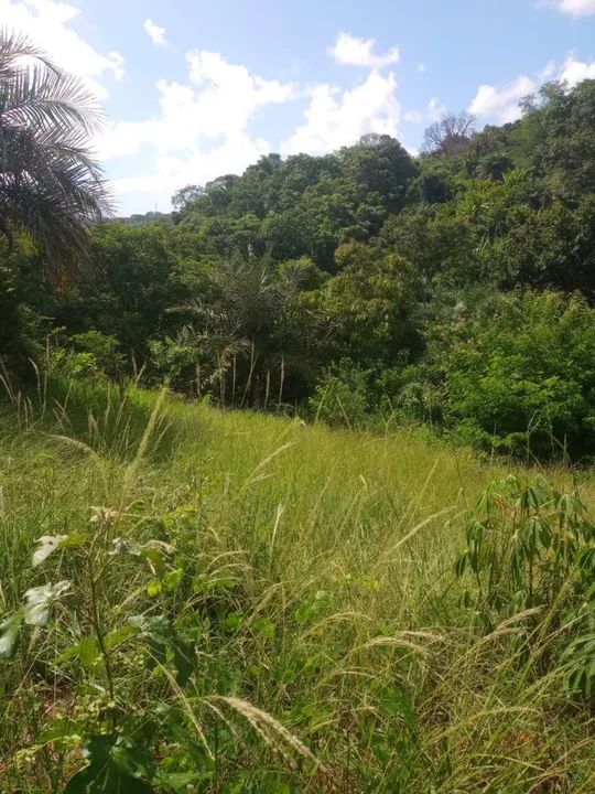 foto - Salvador - Alto da Terezinha