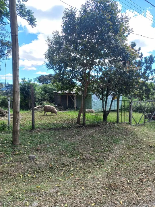 Terreno com Casa Simples
