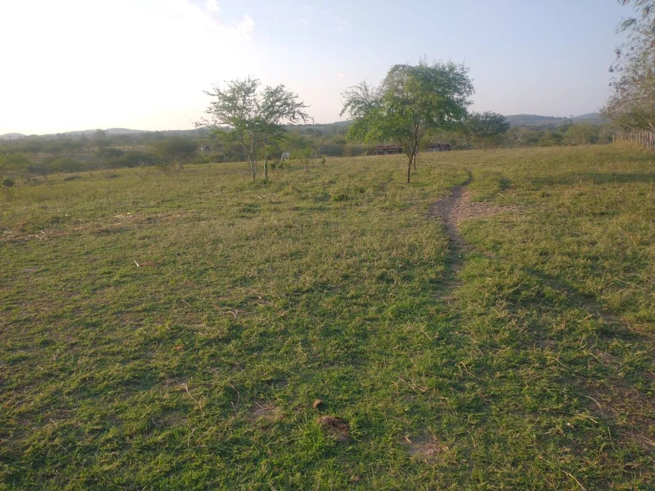 Fazenda em Baixa Grande  - Foto 2