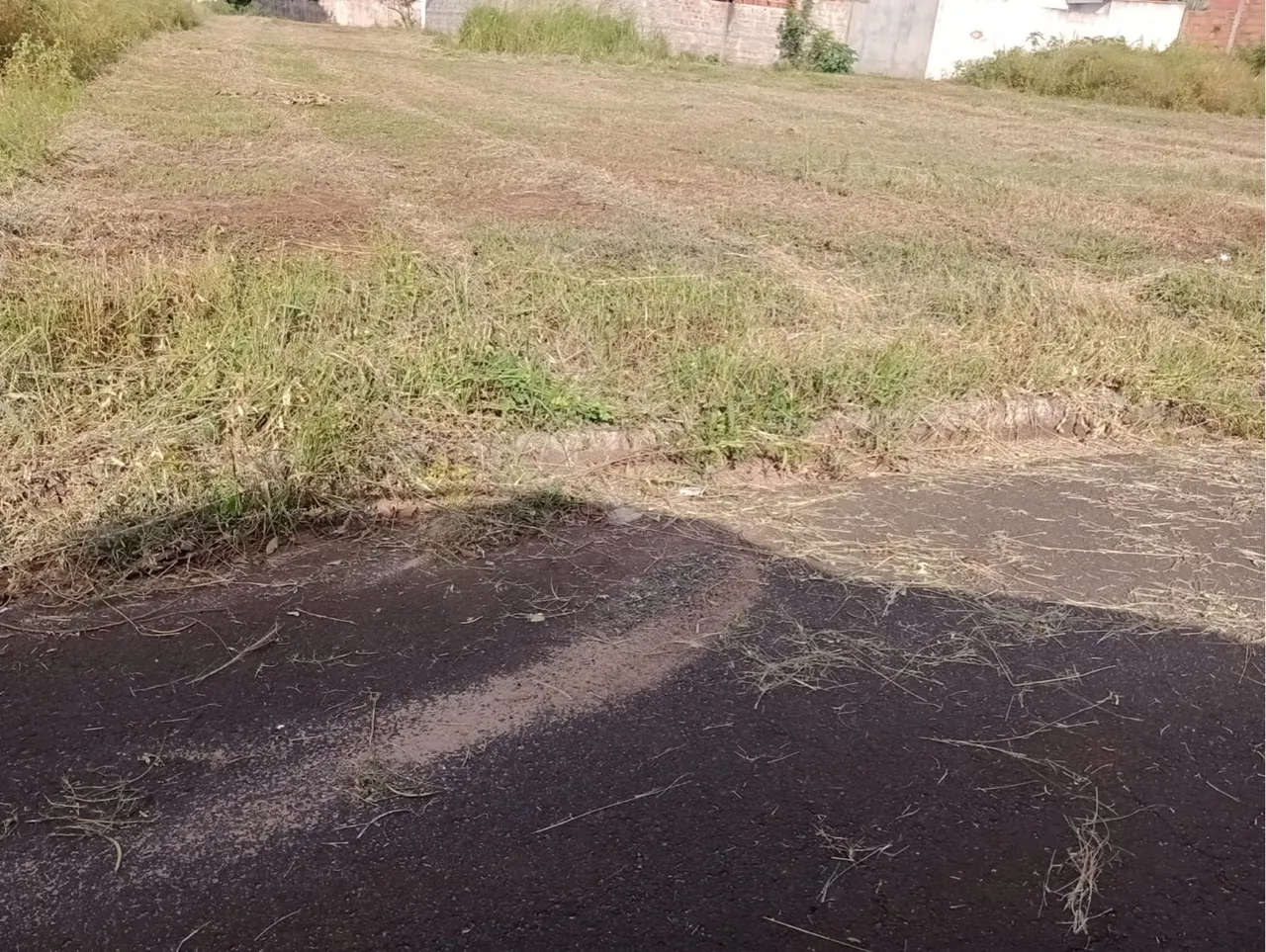 Vendo terreno *escuto proposta*