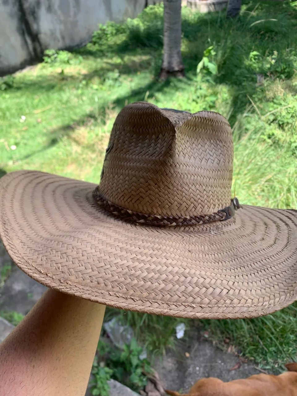 Chapéus  - Foto 4