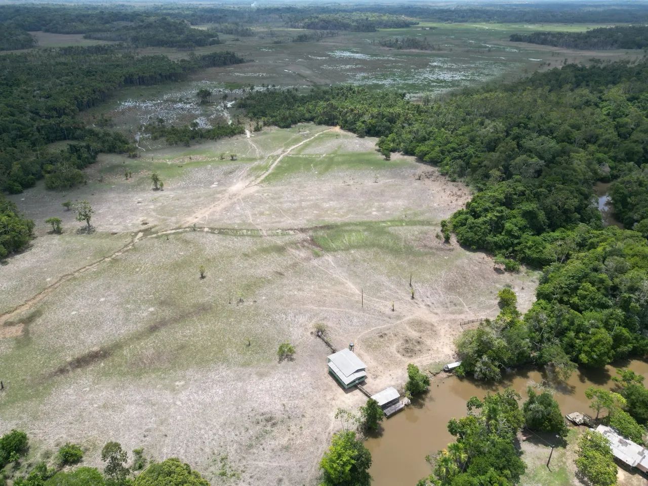 Fazenda de 320 ha para criação de Búfalos.