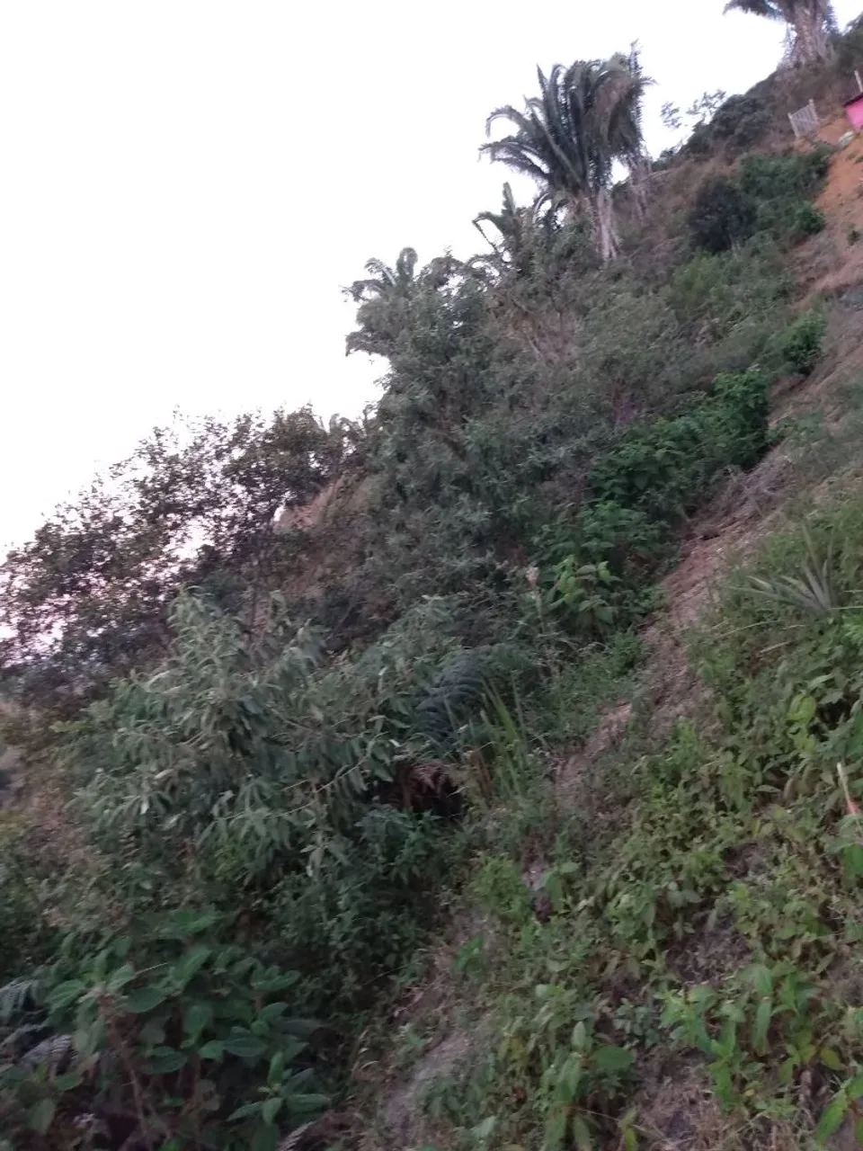 Terreno para construir chalé