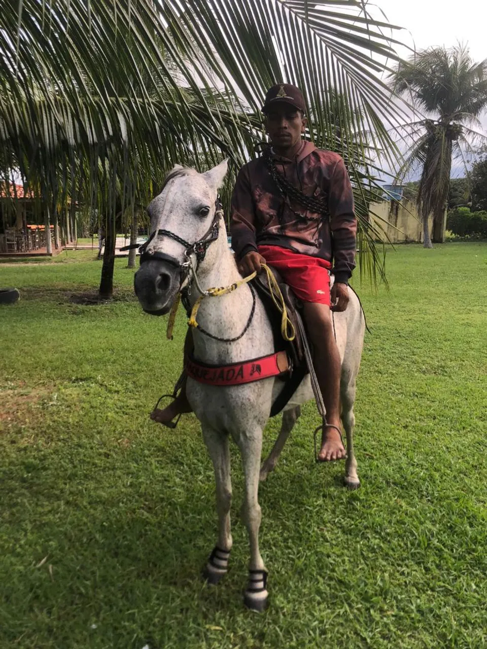 Egua a venda mansa celada tem passada boa p pega de boi