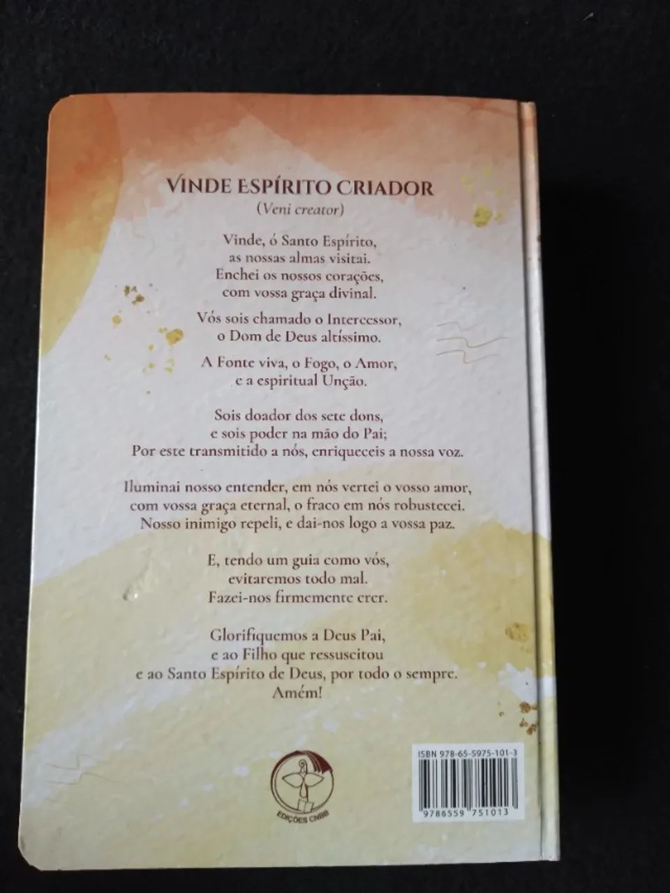 Livro, Bíblia  Sagrada  - Foto 5