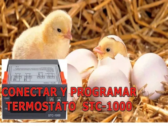 Termostato digital Chocadeira, Cervejeira, Freezer, Aquario - Foto 4