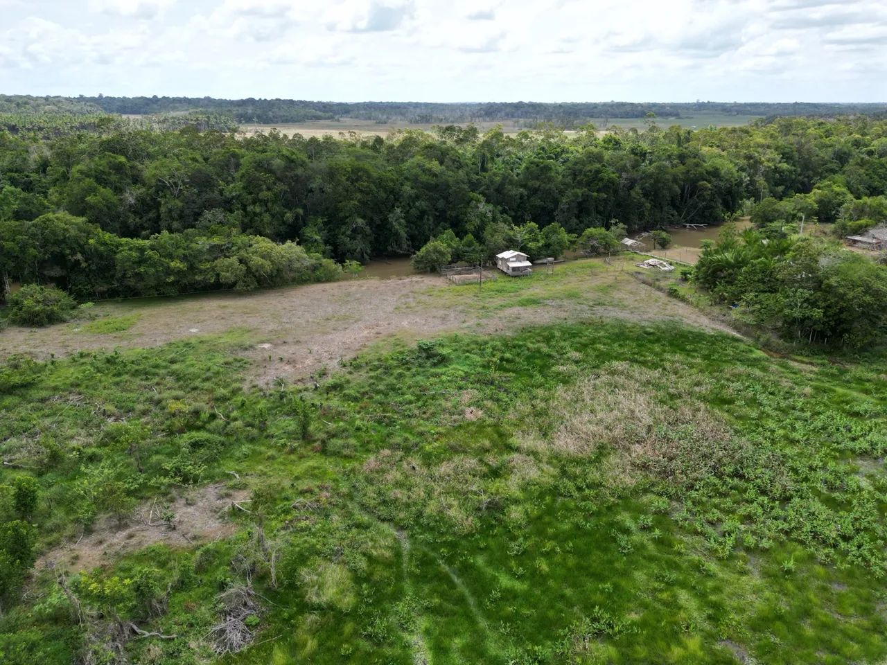 Fazenda para criação de Búfalos a 40km de Macapá - Foto 6