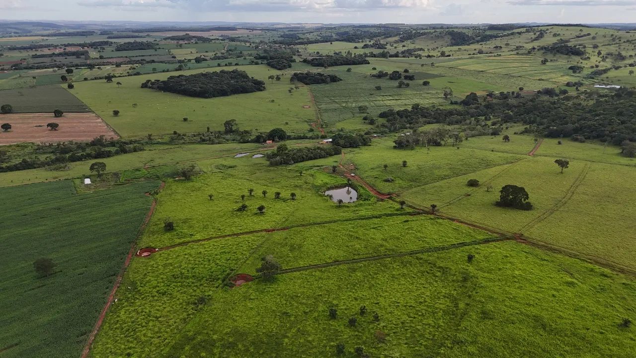 Fazenda ouro verde 53 alqueires  - Foto 3