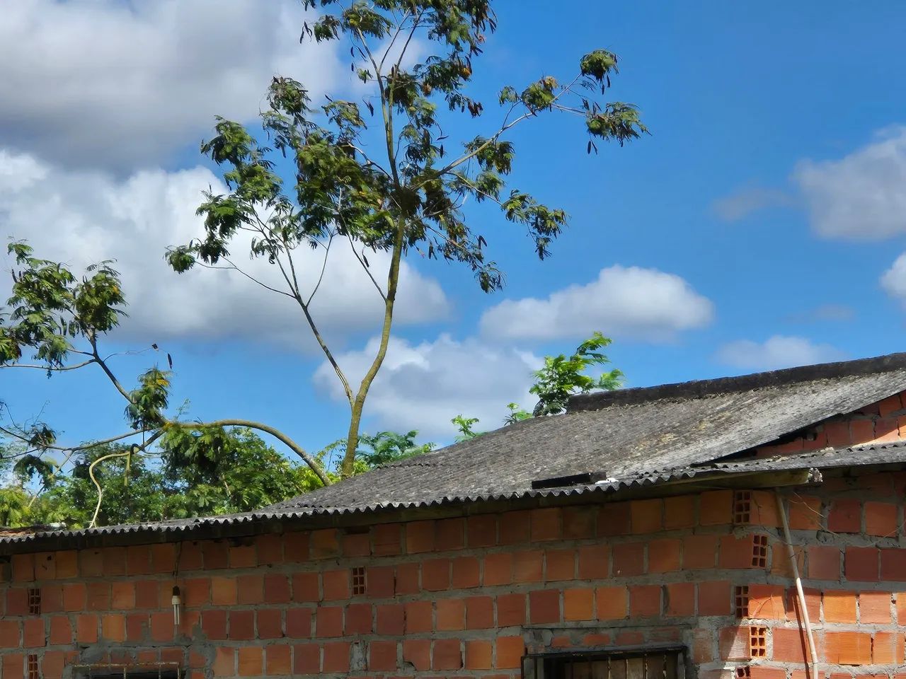 Used Eternit roof tile (to be removed from roof) 2.44x0.50