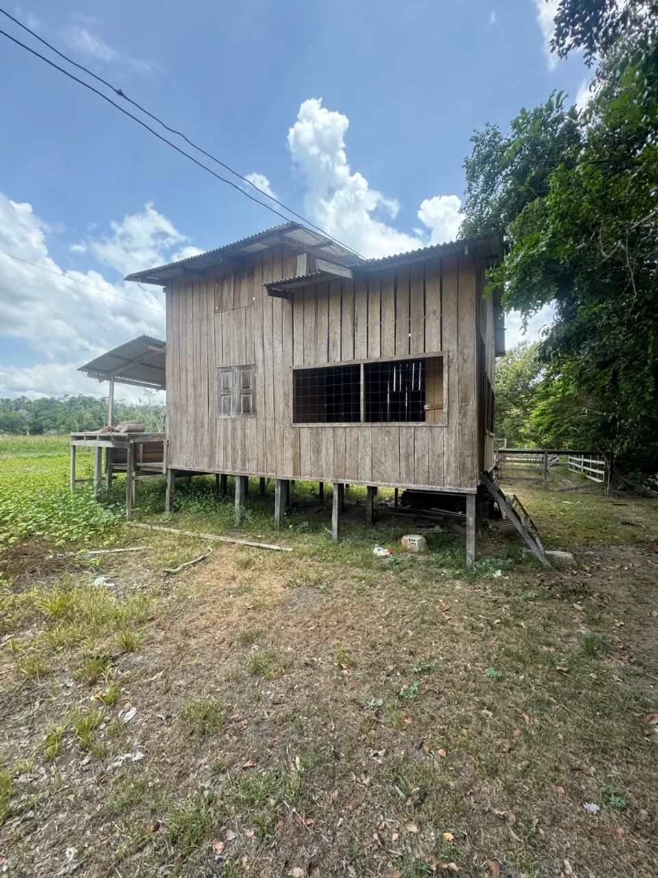 Fazenda para criação de Búfalos a 40km de Macapá - Foto 2