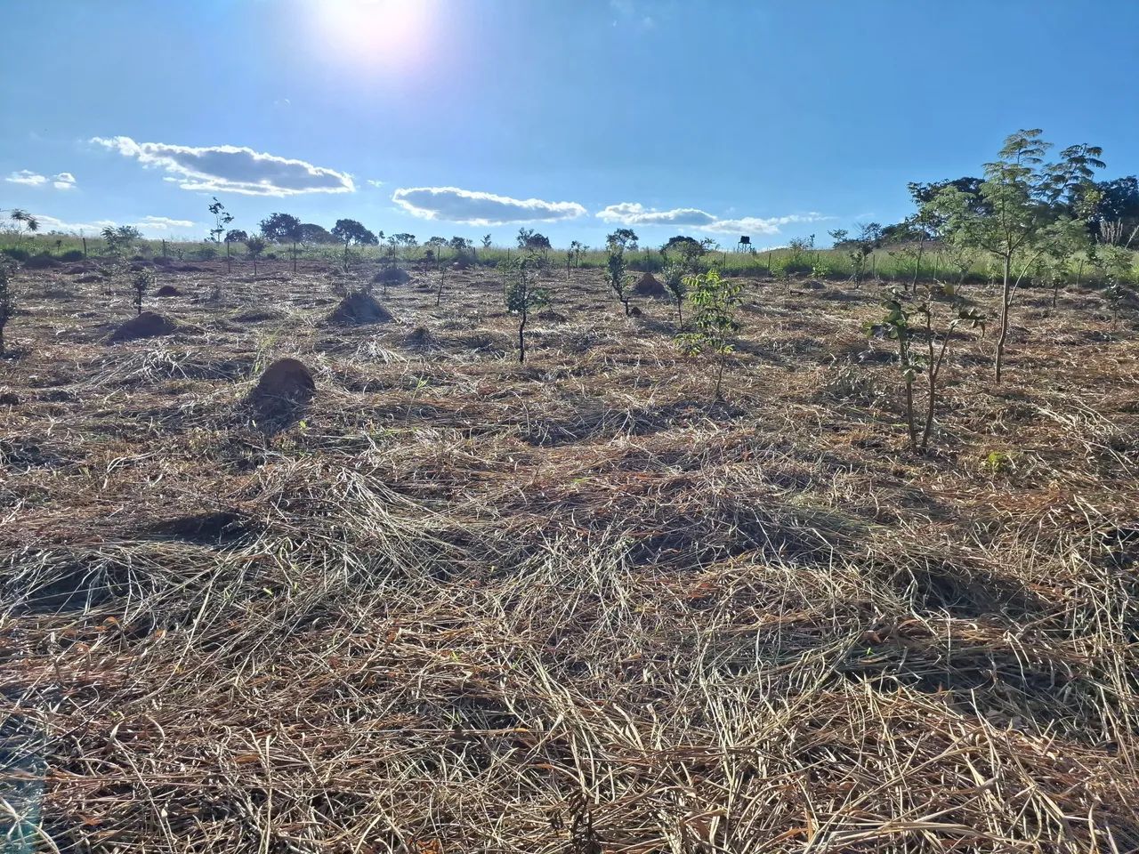 Chácara 1.500mt em Bela Vista de Goiás ótima pra lazer 50 km de Goiânia  - Foto 5