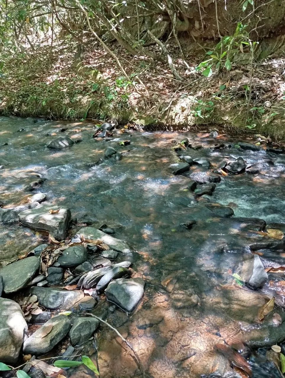 Foto - Pirenópolis - Centro