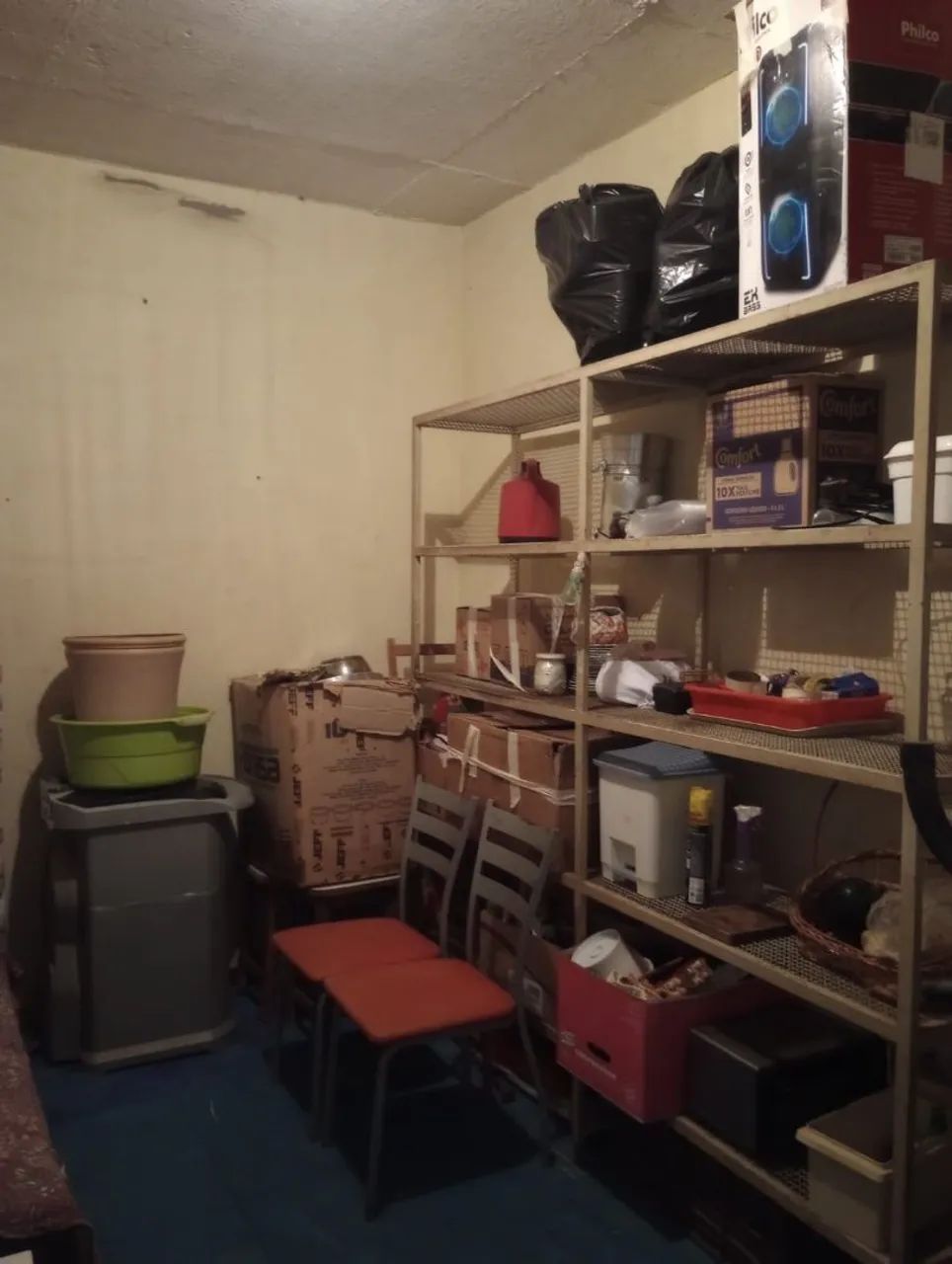 Shelf 64232509465857122