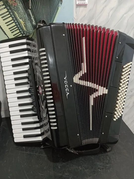 Sanfona vooda 80 baixos