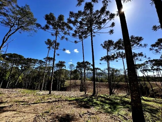 Chácara à venda em Urubici/SC - Foto 2