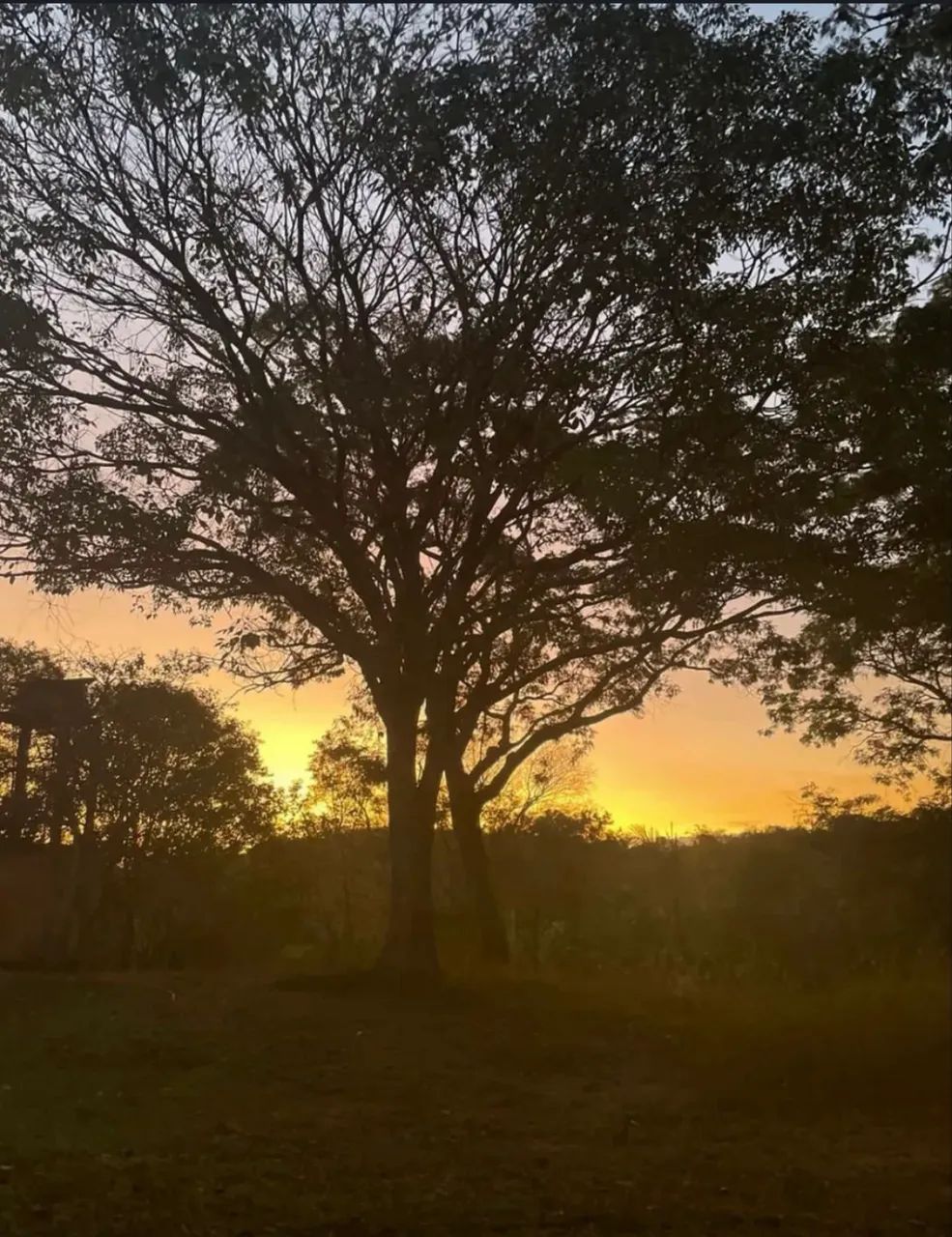 Vendo linda chácara com 22 hectares na divisa DF/GO - Foto 5