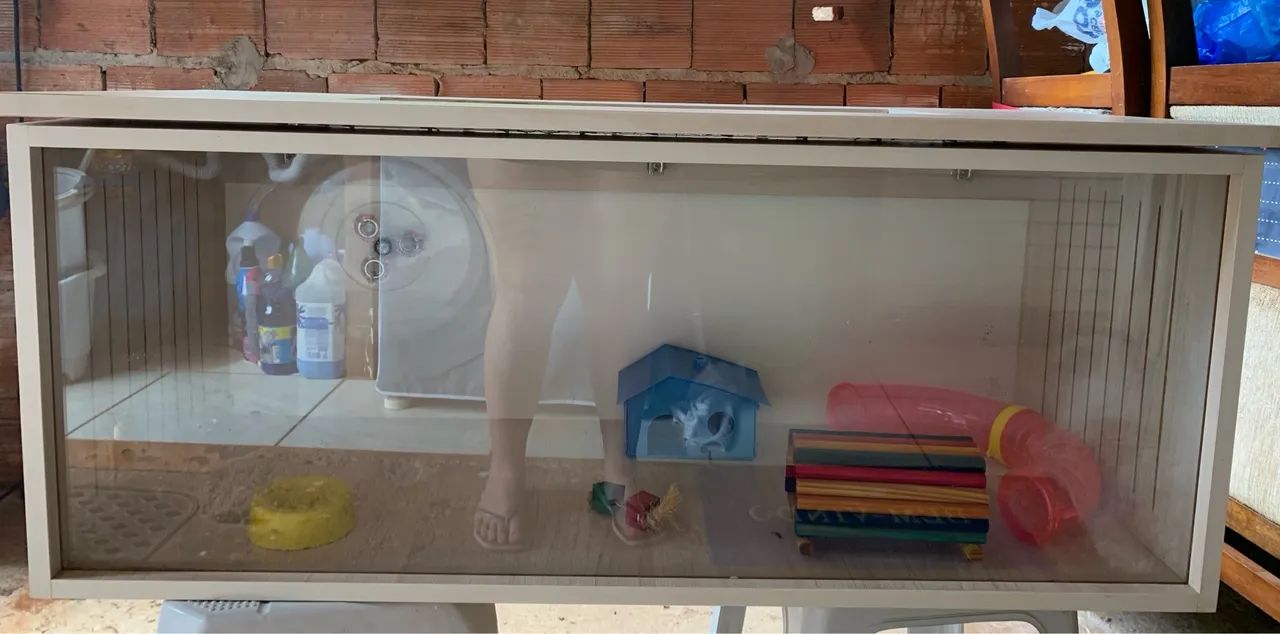 Terrário para hamsters  - Foto 2