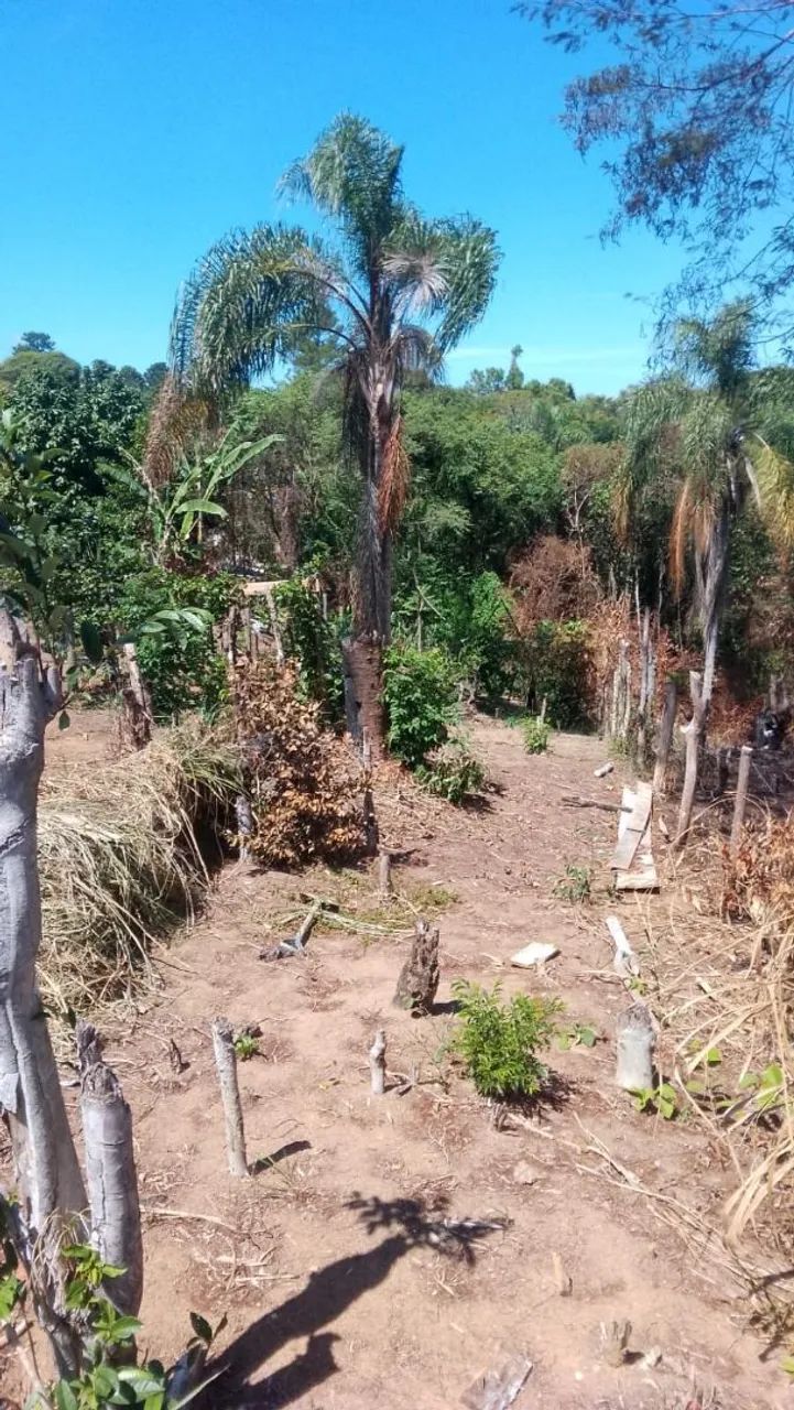 Vendo terreno em Bambuí  - Foto 3