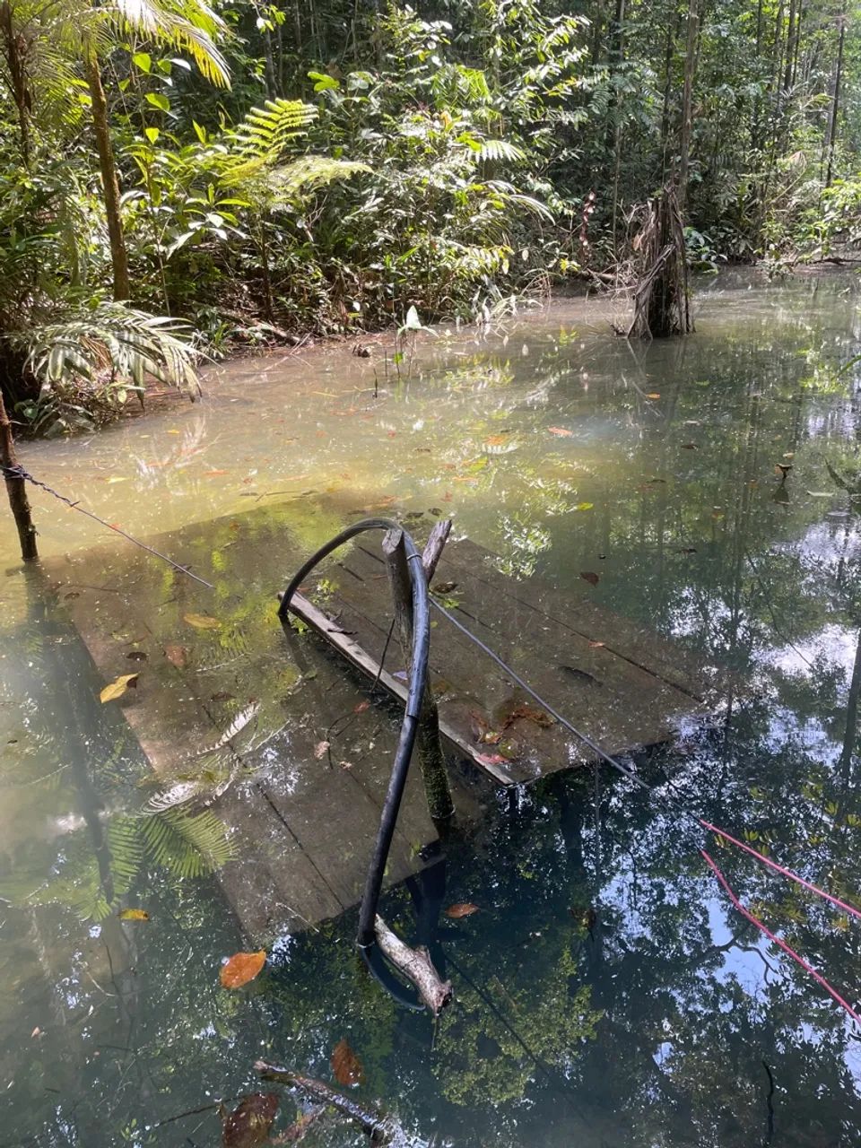 foto - Manaus - Zumbi dos Palmares