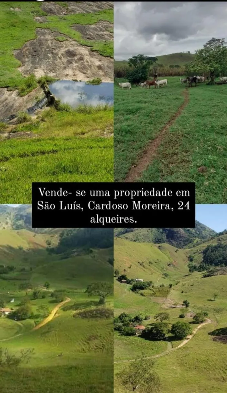 Vende-se sítio de 24 alqueires 