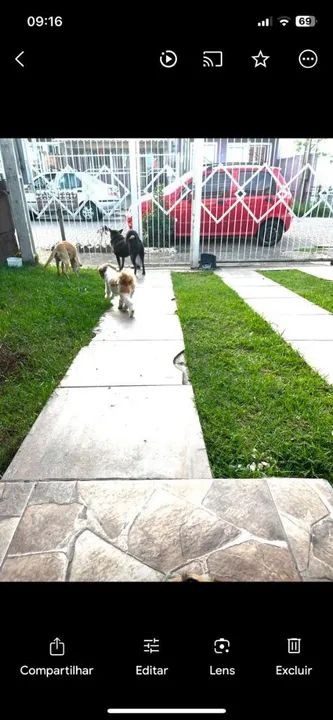 Grades com portão social 5.25 largura 2 altura  - Foto 2